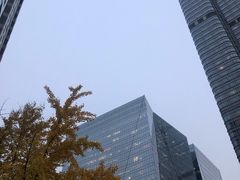 -中央广播电视总台(光华路办公区)