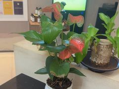 -灸春堂·艾灸·痛症·整脊连锁(之江银泰店)