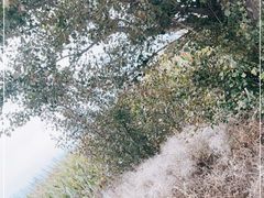 -库伦旗银沙湾旅游景区