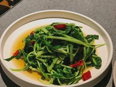 炝炒鸡毛菜-日上三甘(三里屯店)