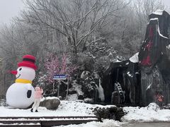 -青峰峡国家森林公园