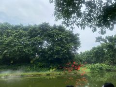 -广州长隆飞鸟乐园