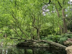 -浙江西子宾馆·瑶园咖啡厅