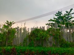 -花溪雨·森林餐厅(石基店)