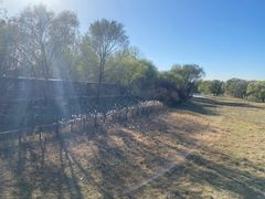 -北京麋鹿生态实验中心