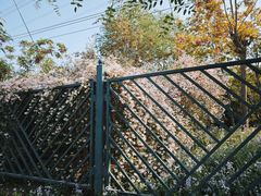 -老君堂公园