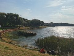 -丁香湖公园