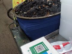 -马文章胖子甑糕(洒金桥店)