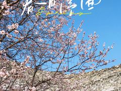 -北京明城墙遗址公园