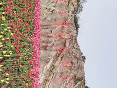 -东平国家森林公园