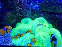 -沈阳海洋探索中心