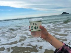 -西涌国际滨海旅游区