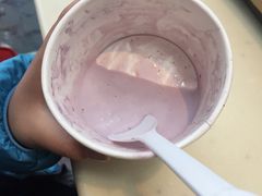 -哈根达斯(扬州瘦西湖店)