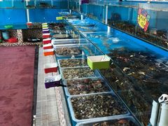 -港畔赶海蒸汽海鲜烧烤自助(仙螺岛店)