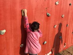 -春花秋色城市公园