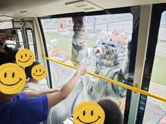 -栾川竹海野生动物园