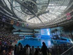 -海合安成都极地海洋公园
