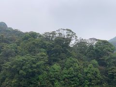 -广州市流溪河国家森林公园