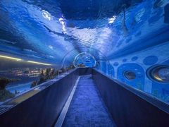 -成都浩海立方海洋公园