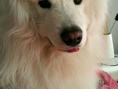 -达爱动物医院·犬猫分区·CT·复杂眼科(远洋山水分院)