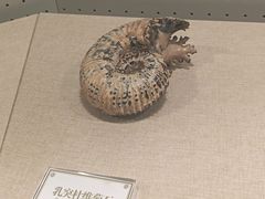 -辽宁古生物博物馆