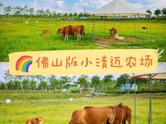 -盈香心动乐园