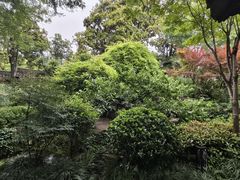 -梅园