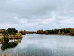 -塞罕坝国家级自然保护区