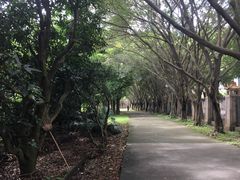 -福神岗公园