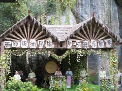 -西双版纳原始森林公园