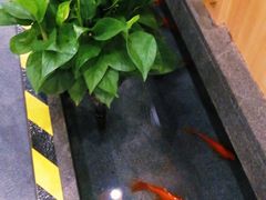 -九田家黑牛烤肉料理(衡百国际店)