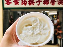 -洪馨椰子