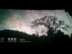 -万达影城(开福万达广场IMAX店)