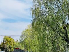 -东山风景区(洞庭东山)