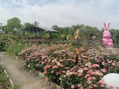 -祥源·阜阳生态乐园