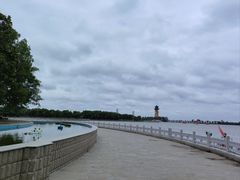 -溱湖国家湿地公园