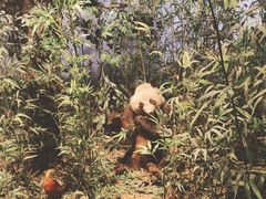 -陕西自然博物馆