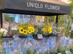 -优衣库(银座店)