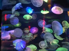 -太平洋海底世界