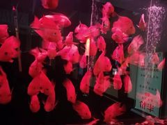 -大唐盲人按摩中心(黄山路店)