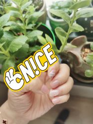 点击看大图 -花系美·美甲美睫精品店