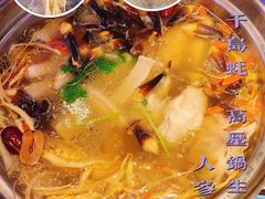 -千岛蚝高压锅生蚝·人参火锅(白云万达店)