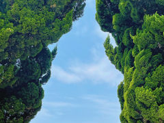 -小麦岛公园