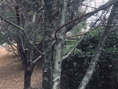 -山东大学(千佛山校区)