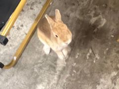 -吾叁·吉趣鸟咖(万科店)