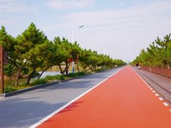 -日照海滨国家森林公园