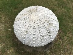 -上海滴水湖皇冠假日酒店