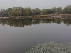 -北坞公园