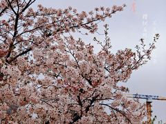 -龙美术馆(西岸馆)
