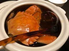 -甄御•海鲜新青岛菜(麦岛店)